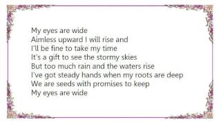 Court Yard Hounds - Aimless Upward Lyrics