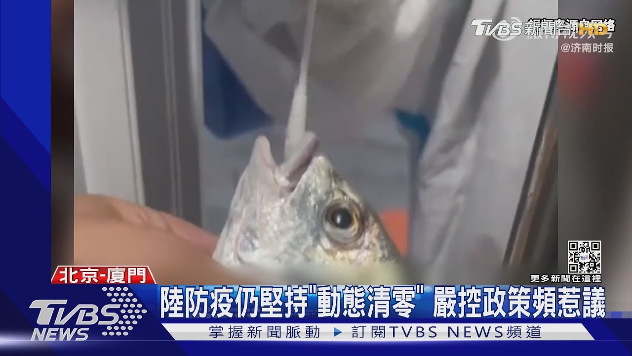 廈門魚蟹捅棉花棒做PCR 大陸網友批:荒唐