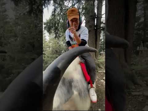 Rawlife ft DIOR - Heard About Us? (Prod. By Yugi Beats)