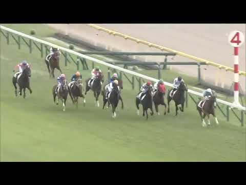 2019.11.03 2yo Newcomer (JPN) - Sky Groove