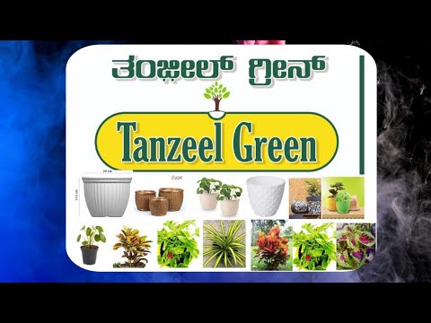 Tanzeel green unique gardening centre#plants #monsoongarden