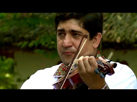 Corneliu Botgros si Lautarii - Taraneasca de la Stefanesti