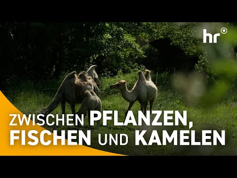 LANDWIRTSCHAFT neu gedacht - Wie Hessens Bauern mit INNOVATIONEN überraschen