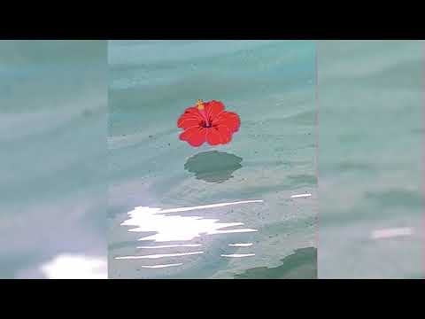 Belsza - Sztuka Pocieszna (leak)