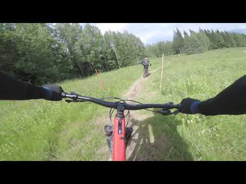 Tahko DH track 6 Blackwoods (easy rider start) 2020 July