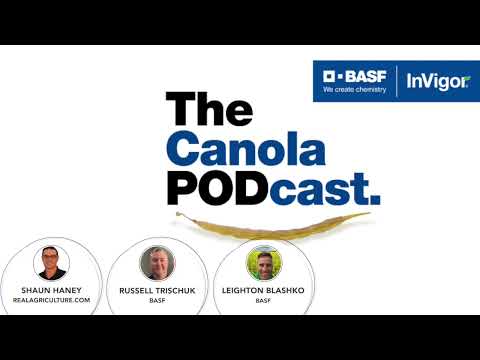 The Canola PODcast, Ep. 10: A plan of attack for clubroot management