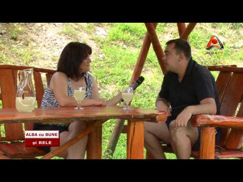 ALBA CU BUNE SI RELE   Pensiunea Casa Anda