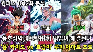 [원피스 1012화 분석]용호상박 떡밥을 해결한다 용 카이도를 상대할 호랑이 루피 야마토 조로