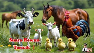 Download lagu Suara Hewan Ternak ❗ Lagu Anak Terbaru |Edukasi Anak Mengenal Nama Hewan | Lagu Anak Populer  mp3 Download lagu Suara Hewan Ternak ❗ Lagu Anak Terbaru |Edukasi Anak Mengenal Nama Hewan | Lagu Anak Populer  mp3