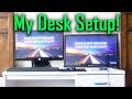 Desk Setup