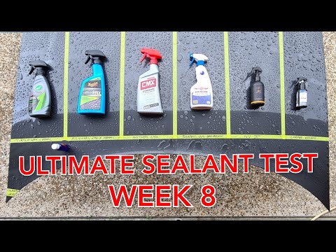 Ultimate Spray Sealant Test 8 Week Update Turtle Wax vs Meguiars vs Mothers v Bowdens v NV vs Carpro