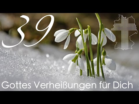 Gottes Verheißungen für Dich - Markus 16,17 | Videokalender 39/365 - Deutschland braucht JESUS
