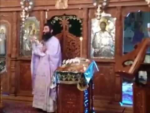 20170625 NICOLAE BALASOIU   DUMINICA A 3 A DUPA RUSALII – DESPRE GRIJILE VIETII