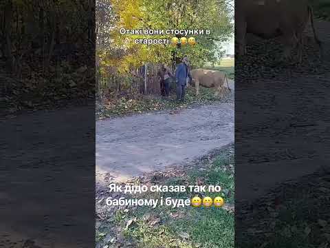 Як дідо сказав так по бабиному і буде