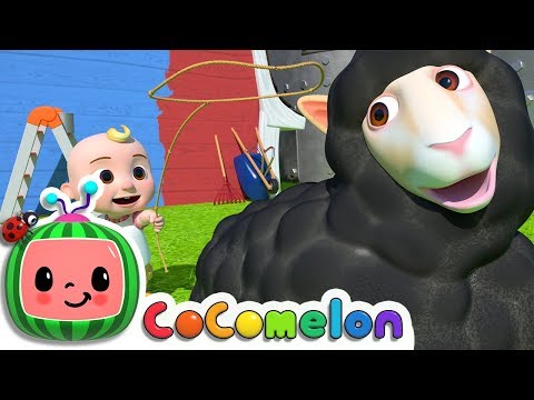 Baa Baa Black Sheep | ABCkidTV Nursery Rhymes & Kids Songs