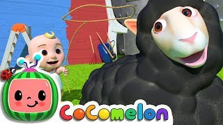 Baa Baa Black Sheep | CoComelon Nursery Rhymes &amp; Kids Songs