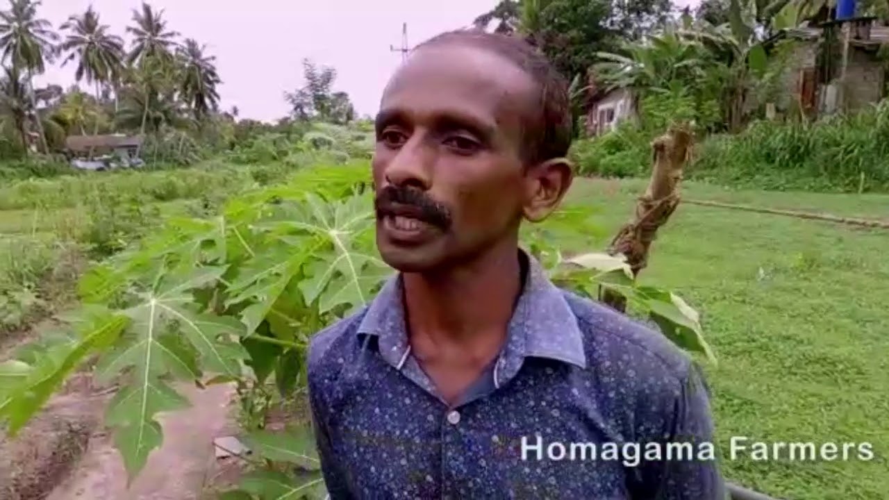 Meet Anil Fernando, an organic farmer from Sri Lanka 🇱🇰