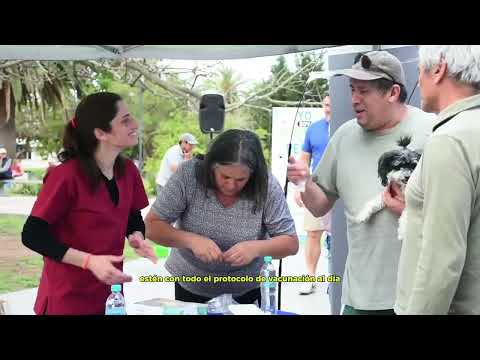 Traé tu Mascota