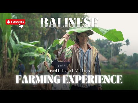 Balinese Traditional Village Farming | Authentic Cultural Experience in Bali