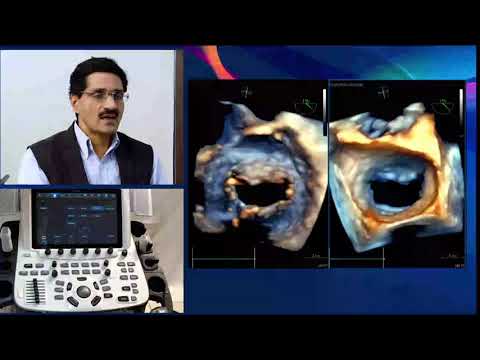 Vivid Talks - Demystifying the Heart with Dr. Naman Shastri || Volume 1