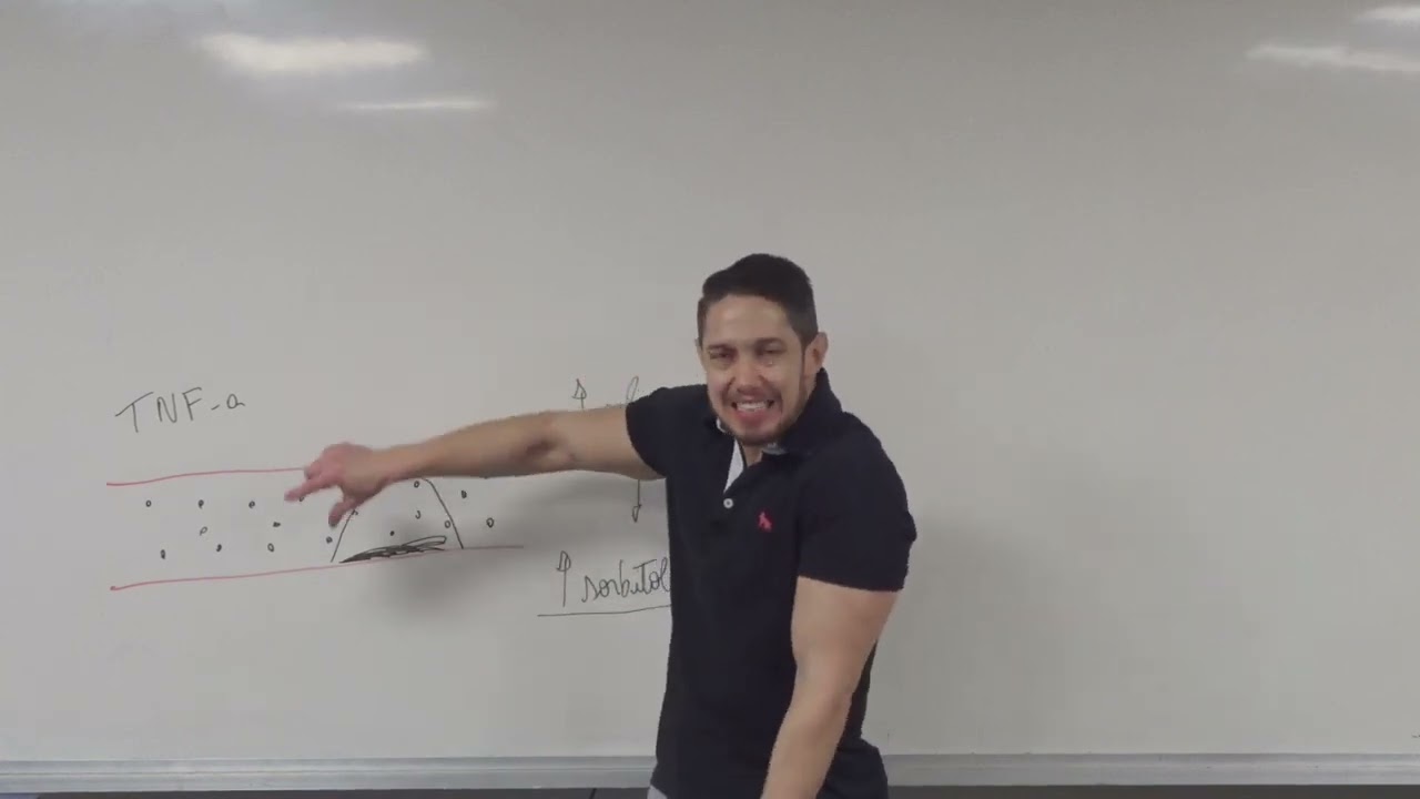 Por que a glicose e a insulina NÃO podem ficar aumentada no sangue??