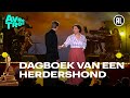 Dagboek van een Herdershond - Ploegen / Niet voor mij | Musical Awards: the Kick-off 2022