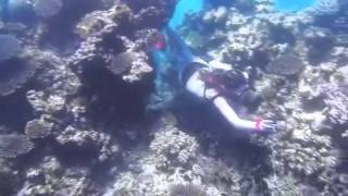 Exmouth Trip - Eliza Greene