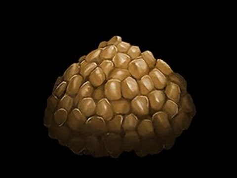 Como Fazer Todas As Kibbles Do Ark: Survival Evolved