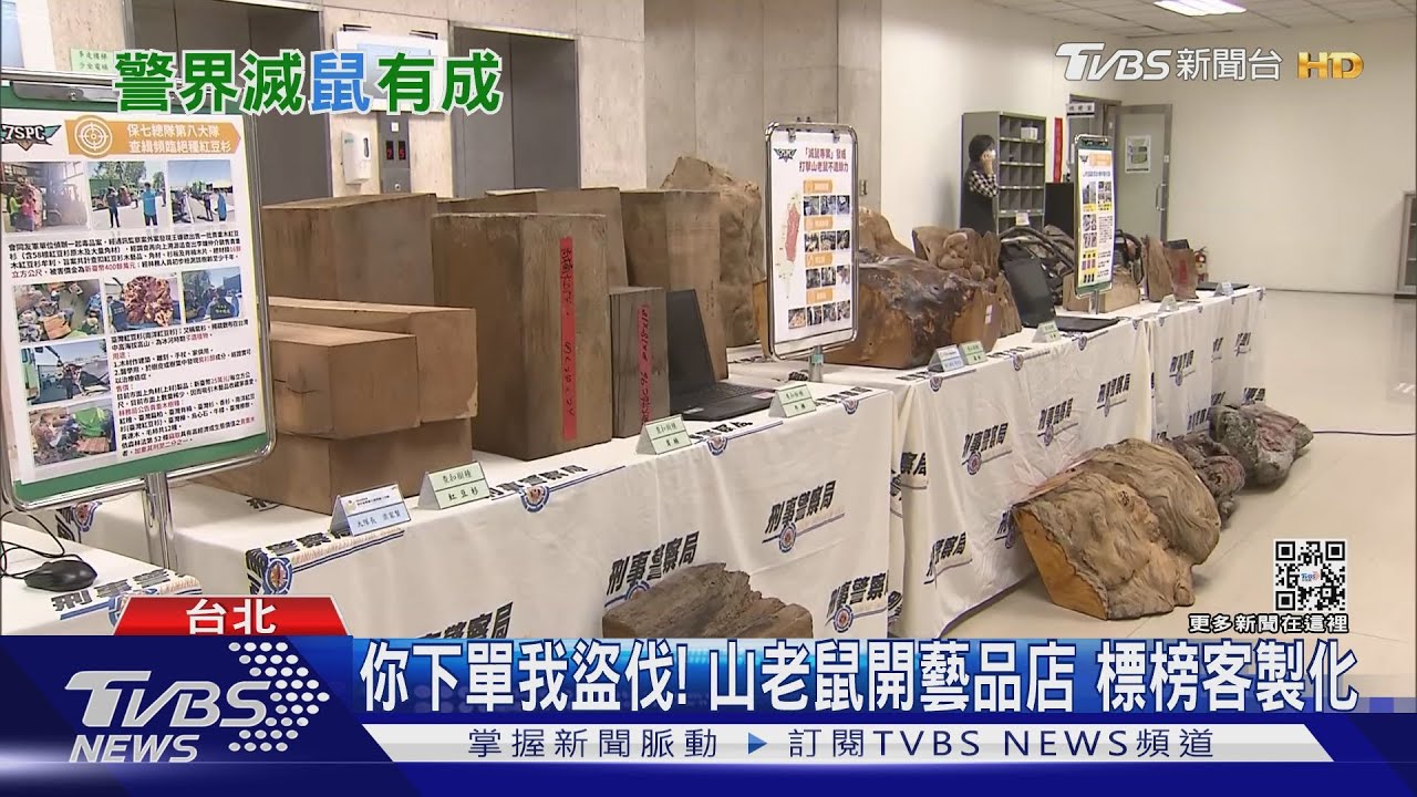 產銷「一條龍」！　山老鼠盜伐54噸千年檜木