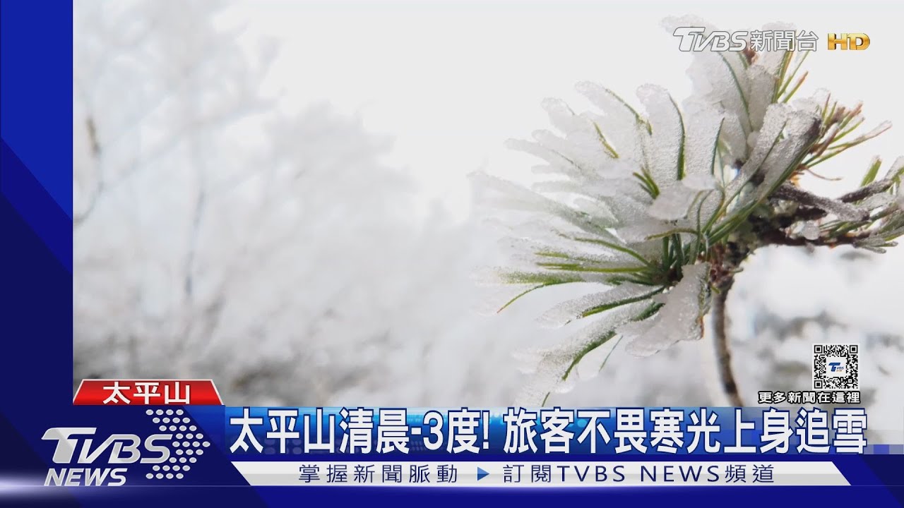 太平山清晨-3度! 旅客不畏寒光上身追雪