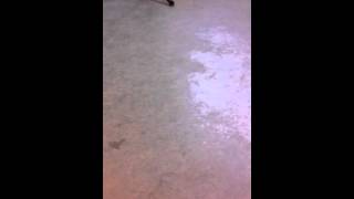 Tomgang, shaka loveless