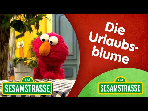 Folge 2922: Die Urlaubsblume | Sesamstraße | NDR
