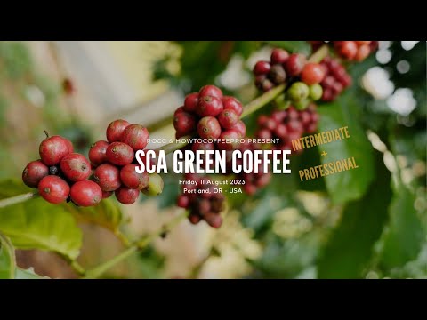 SCA Green Coffee & Roasting - Intermediate with Professional