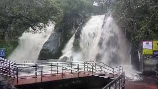 preview picture of video 'Kuttalam falls...'