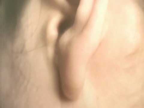 Tato - Arnaldo Antunes