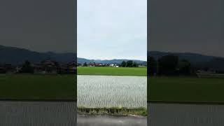 樽見鉄道2 Tarumi railway2
