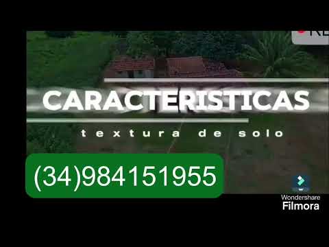 Fazenda em Davinópolis GO as margem do rio Paranaíba. 