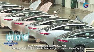 国产电池“下南洋”背后：印尼的镍诱惑｜东盟商品观察