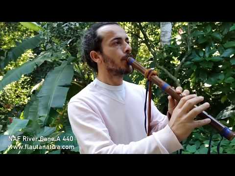 Improviso Flauta Nativa River Cane A