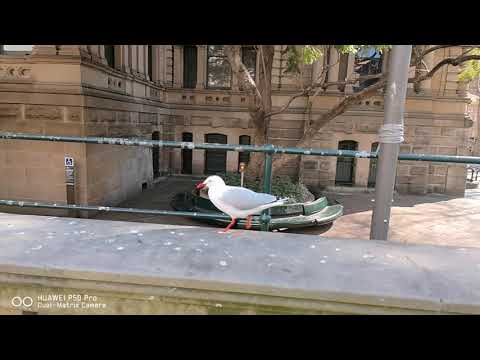 HUAWEI P50 Pro - SlowMotion 32x -