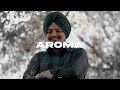 AROMA Slowed Reverbed