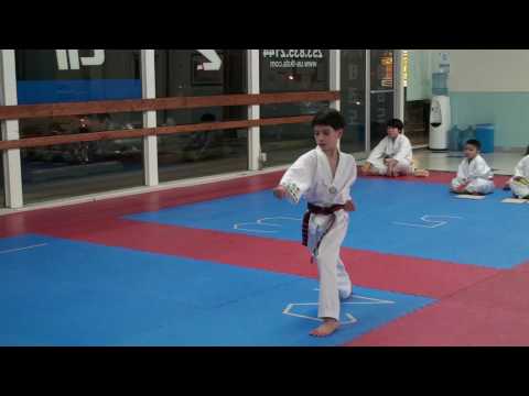 Kyle's Tae Kwon Do Black Belt Test: Form 4 & 8