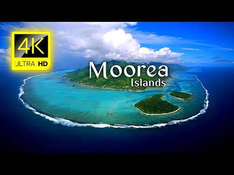 Moorea Island 4K Video - Moorea French Polynesia 4K Video - Beautiful Luxury Island - Travel Video
