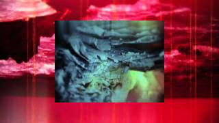 Curium | i will wade out