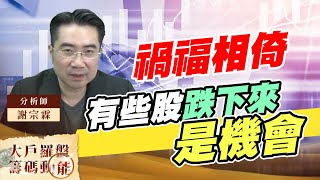 禍福相倚 有些股跌下來是機會 (圖)