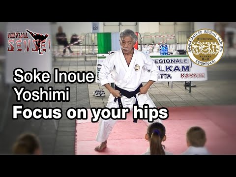 Soke Inoue Yoshimi - Focus on your hips rather than knees - Seminar Italy 2013
