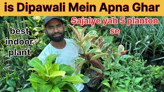 is Dipawali Mein Apne Ghar Ko Saja Den yah 5 paudhon se