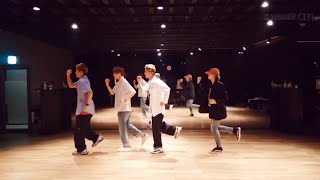 [ WINNER ] ‘동물의 왕국’ DANCE PRACTICE VIDEO