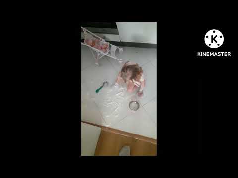 Diana is a little hostess (Диана - маленькая хозяйка)