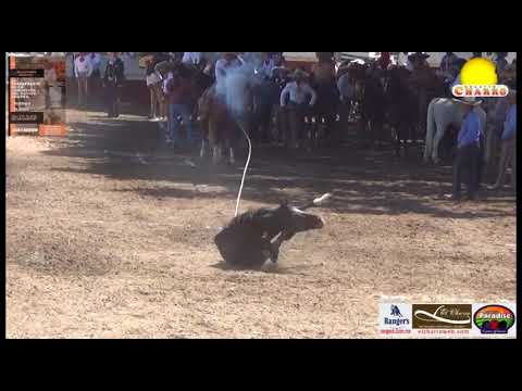 #BoletinCharroTv 3 DE 3 PIALES ENRIQUE RAMÍREZ PULIDO